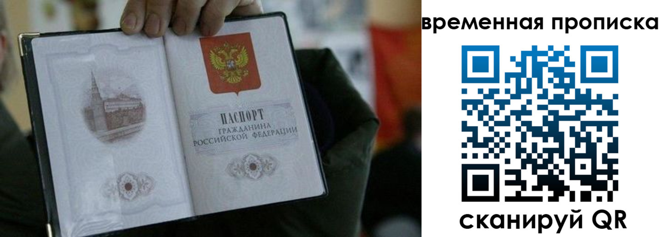 найти адрес прописки в Вельске